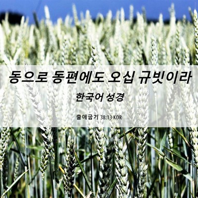 Picture 06 - 출애굽기 38:13 KOR - 동으로 동편에도 오십 - Bible Verse Picture