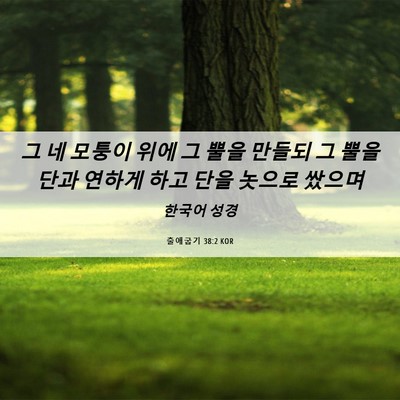 Picture 06 - 출애굽기 38:2 KOR - 그 네 모퉁이 위에 그 뿔을 만들되 그 - Bible Verse Picture