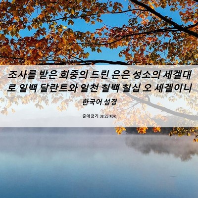 Picture 06 - 출애굽기 38:25 KOR - 조사를 받은 회중의 드린 은은 - Bible Verse Picture