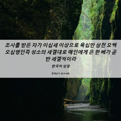 Picture 06 - 출애굽기 38:26 KOR - 조사를 받은 자가 이십세 이상으로 - Bible Verse Picture