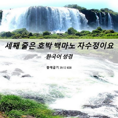 Picture 06 - 출애굽기 39:12 KOR - 세째 줄은 호박 백마노 - Bible Verse Picture