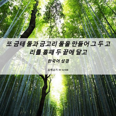 Picture 06 - 출애굽기 39:16 KOR - 또 금테 둘과 금고리 둘을 만들어 그 - Bible Verse Picture