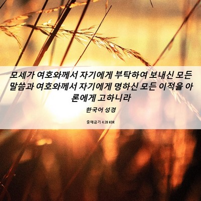 Picture 06 - 출애굽기 4:28 KOR - 모세가 여호와께서 자기에게 - Bible Verse Picture