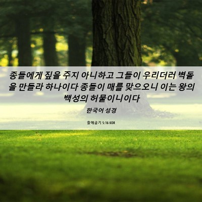 Picture 06 - 출애굽기 5:16 KOR - 종들에게 짚을 주지 아니하고 그들이 - Bible Verse Picture