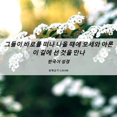 Picture 06 - 출애굽기 5:20 KOR - 그들이 바로를 떠나 나올 때에 - Bible Verse Picture
