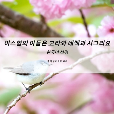Picture 06 - 출애굽기 6:21 KOR - 이스할의 아들은 고라와 네벡과 - Bible Verse Picture
