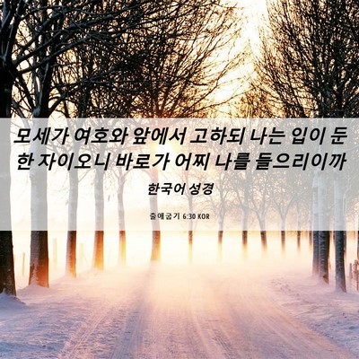 Picture 06 - 출애굽기 6:30 KOR - 모세가 여호와 앞에서 고하되 나는 - Bible Verse Picture