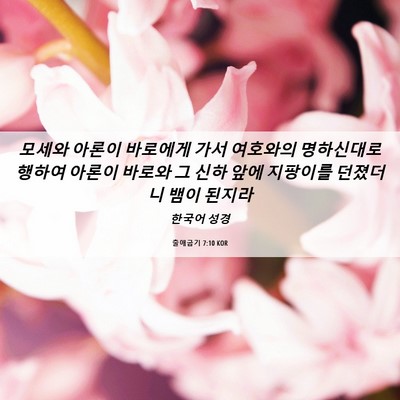 Picture 06 - 출애굽기 7:10 KOR - 모세와 아론이 바로에게 가서 - Bible Verse Picture