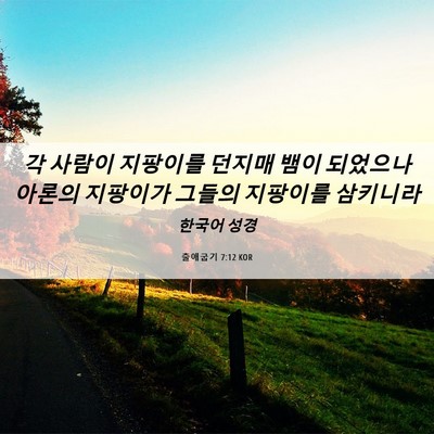 Picture 06 - 출애굽기 7:12 KOR - 각 사람이 지팡이를 던지매 뱀이 - Bible Verse Picture