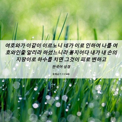 Picture 06 - 출애굽기 7:17 KOR - 여호와가 이같이 이르노니 네가 이로 - Bible Verse Picture