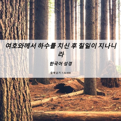 Picture 06 - 출애굽기 7:25 KOR - 여호와께서 하수를 치신 후 칠일이 - Bible Verse Picture
