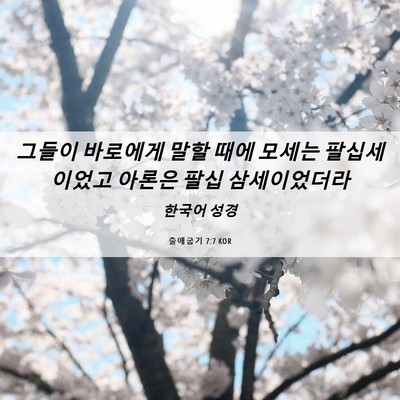 Picture 06 - 출애굽기 7:7 KOR - 그들이 바로에게 말할 때에 모세는 - Bible Verse Picture