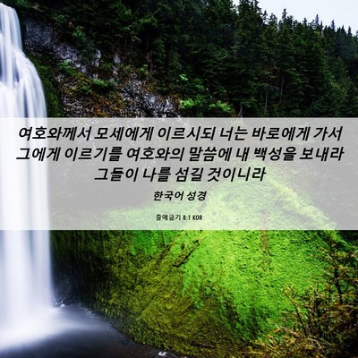 Picture 06 - 출애굽기 8:1 KOR - 여호와께서 모세에게 이르시되 너는 - Bible Verse Picture