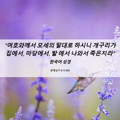 Picture 06 - 출애굽기 8:13 KOR - 