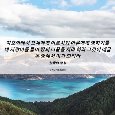 Picture 06 - 출애굽기 8:16 KOR - 여호와께서 모세에게 이르시되 - Bible Verse Picture