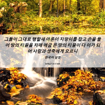 Picture 06 - 출애굽기 8:17 KOR - 그들이 그대로 행할새 아론이 - Bible Verse Picture