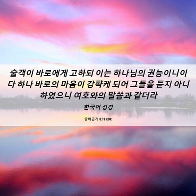 Picture 06 - 출애굽기 8:19 KOR - 술객이 바로에게 고하되 이는 - Bible Verse Picture