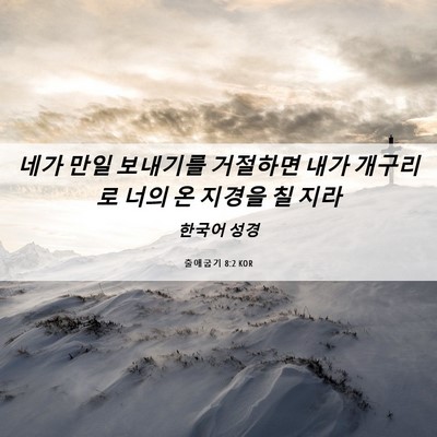 Picture 06 - 출애굽기 8:2 KOR - 네가 만일 보내기를 거절하면 내가 - Bible Verse Picture