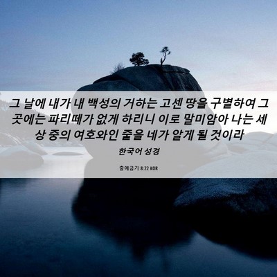 Picture 06 - 출애굽기 8:22 KOR - 그 날에 내가 내 백성의 거하는 고센 - Bible Verse Picture