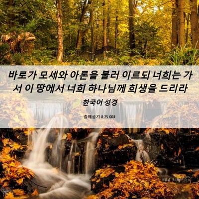 Picture 06 - 출애굽기 8:25 KOR - 바로가 모세와 아론을 불러 이르되 - Bible Verse Picture