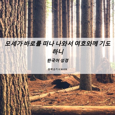 Picture 06 - 출애굽기 8:30 KOR - 모세가 바로를 떠나 나와서 여호와께 - Bible Verse Picture