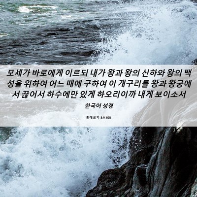 Picture 06 - 출애굽기 8:9 KOR - 모세가 바로에게 이르되 내가 왕과 - Bible Verse Picture
