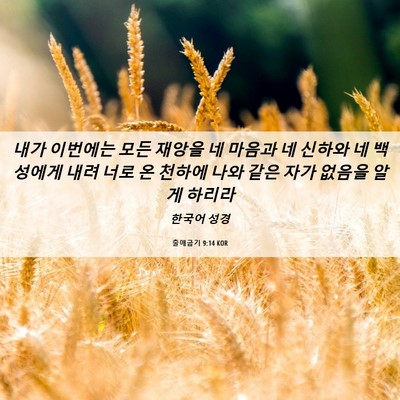 Picture 06 - 출애굽기 9:14 KOR - 내가 이번에는 모든 재앙을 네 - Bible Verse Picture