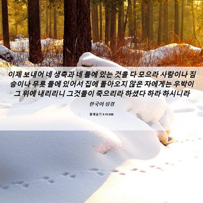Picture 06 - 출애굽기 9:19 KOR - 이제 보내어 네 생축과 네 들에 있는 - Bible Verse Picture