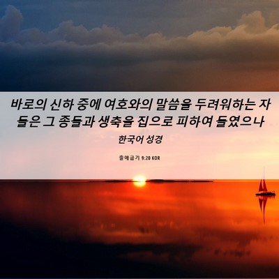 Picture 06 - 출애굽기 9:20 KOR - 바로의 신하 중에 여호와의 말씀을 - Bible Verse Picture