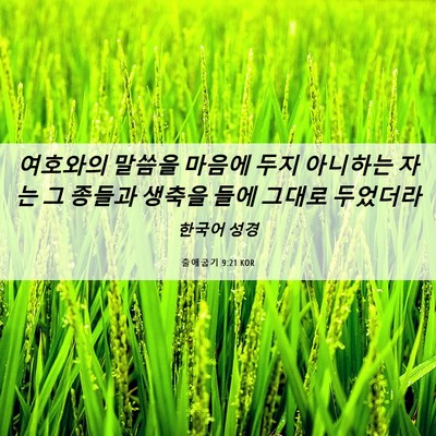 Picture 06 - 출애굽기 9:21 KOR - 여호와의 말씀을 마음에 두지 - Bible Verse Picture