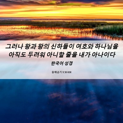 Picture 06 - 출애굽기 9:30 KOR - 그러나 왕과 왕의 신하들이 여호와 - Bible Verse Picture