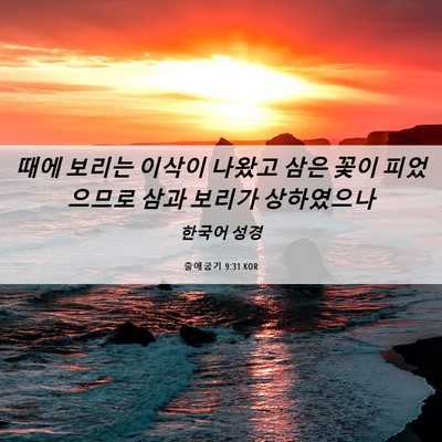 Picture 06 - 출애굽기 9:31 KOR - 때에 보리는 이삭이 나왔고 삼은 - Bible Verse Picture