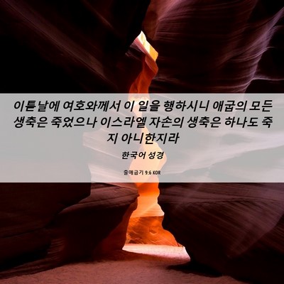 Picture 06 - 출애굽기 9:6 KOR - 이튿날에 여호와께서 이 일을 - Bible Verse Picture