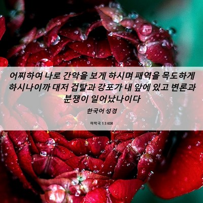 Picture 06 - 하박국 1:3 KOR - 어찌하여 나로 간악을 보게 하시며 - Bible Verse Picture