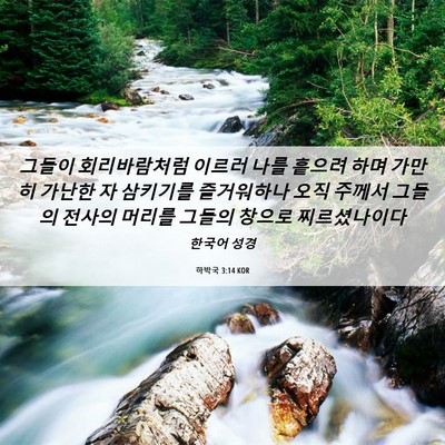 Picture 06 - 하박국 3:14 KOR - 그들이 회리바람처럼 이르러 나를 - Bible Verse Picture