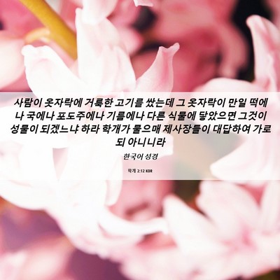 Picture 06 - 학개 2:12 KOR - 사람이 옷자락에 거룩한 고기를 - Bible Verse Picture