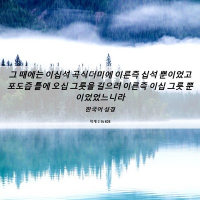 Picture 06 - 학개 2:16 KOR - 그 때에는 이십석 곡식더미에 이른즉 - Bible Verse Picture