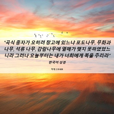 Picture 06 - 학개 2:19 KOR - 