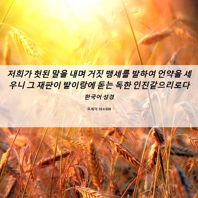 Picture 06 - 호세아 10:4 KOR - 저희가 헛된 말을 내며 거짓 맹세를 - Bible Verse Picture