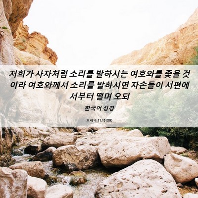 Picture 06 - 호세아 11:10 KOR - 저희가 사자처럼 소리를 발하시는 - Bible Verse Picture