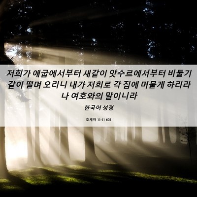 Picture 06 - 호세아 11:11 KOR - 저희가 애굽에서부터 새같이 - Bible Verse Picture