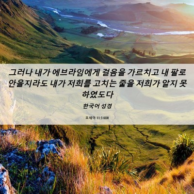 Picture 06 - 호세아 11:3 KOR - 그러나 내가 에브라임에게 걸음을 - Bible Verse Picture
