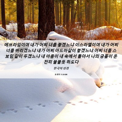 Picture 06 - 호세아 11:8 KOR - 에브라임이여 내가 어찌 너를 - Bible Verse Picture