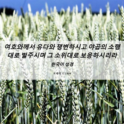 Picture 06 - 호세아 12:2 KOR - 여호와께서 유다와 쟁변하시고 - Bible Verse Picture