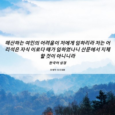 Picture 06 - 호세아 13:13 KOR - 해산하는 여인의 어려움이 저에게 - Bible Verse Picture