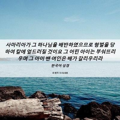 Picture 06 - 호세아 13:16 KOR - 사마리아가 그 하나님을 - Bible Verse Picture
