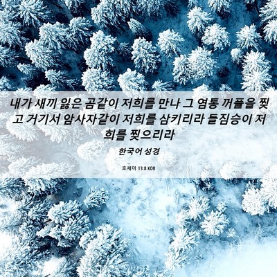 Picture 06 - 호세아 13:8 KOR - 내가 새끼 잃은 곰같이 저희를 만나 - Bible Verse Picture