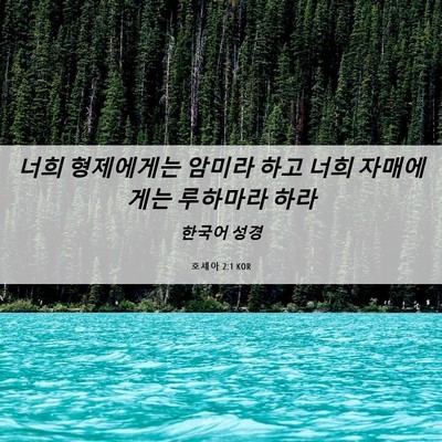 Picture 06 - 호세아 2:1 KOR - 너희 형제에게는 암미라 하고 너희 - Bible Verse Picture