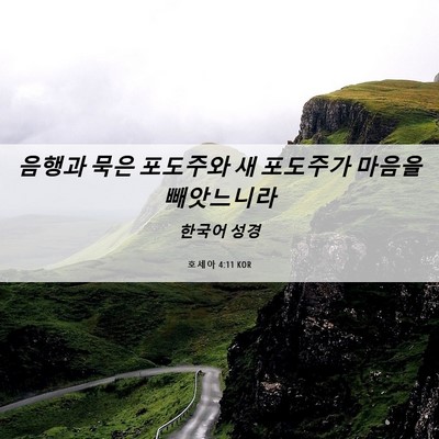 Picture 06 - 호세아 4:11 KOR - 음행과 묵은 포도주와 새 포도주가 - Bible Verse Picture