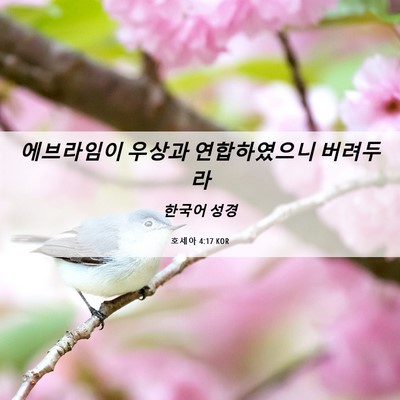 Picture 06 - 호세아 4:17 KOR - 에브라임이 우상과 연합하였으니 - Bible Verse Picture